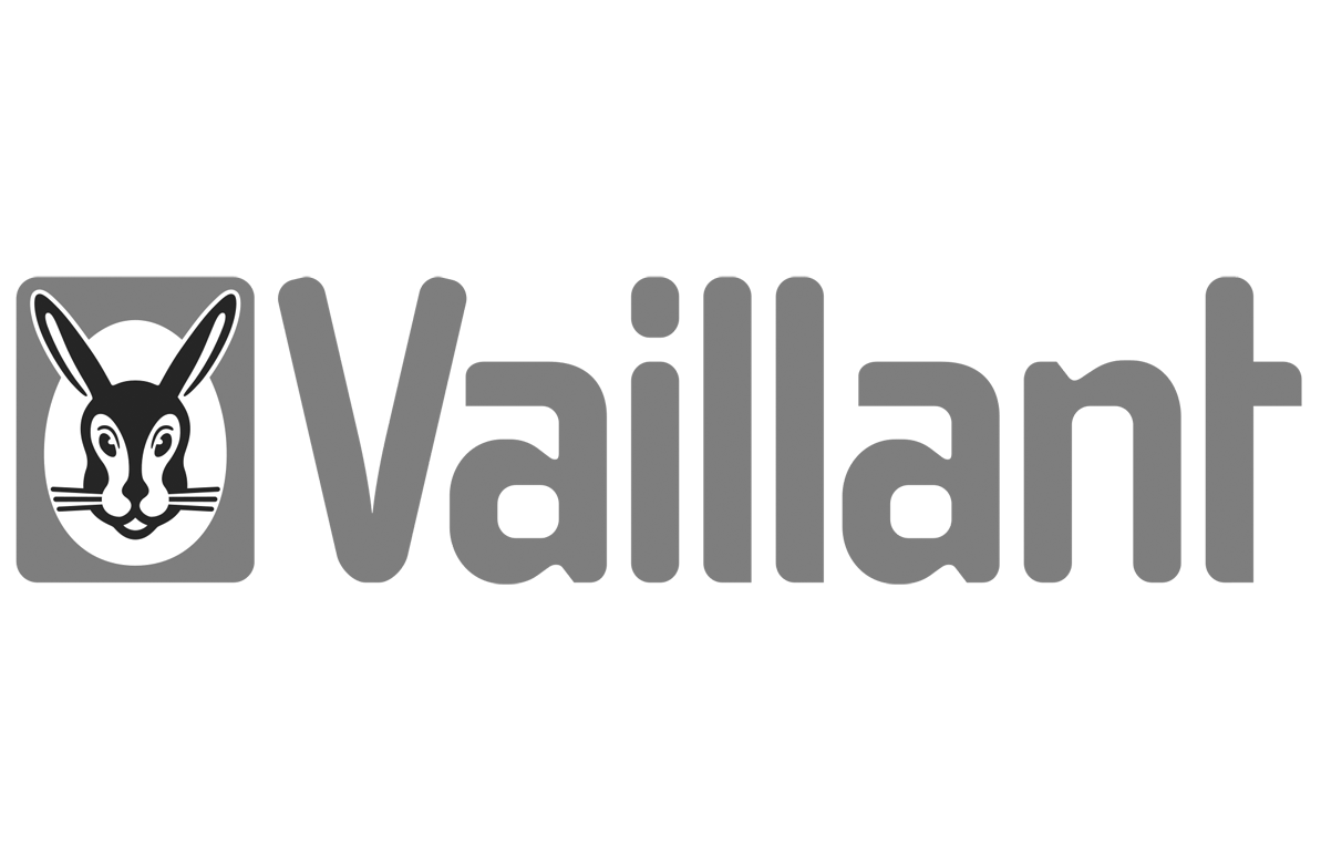 vaillant-grau.png